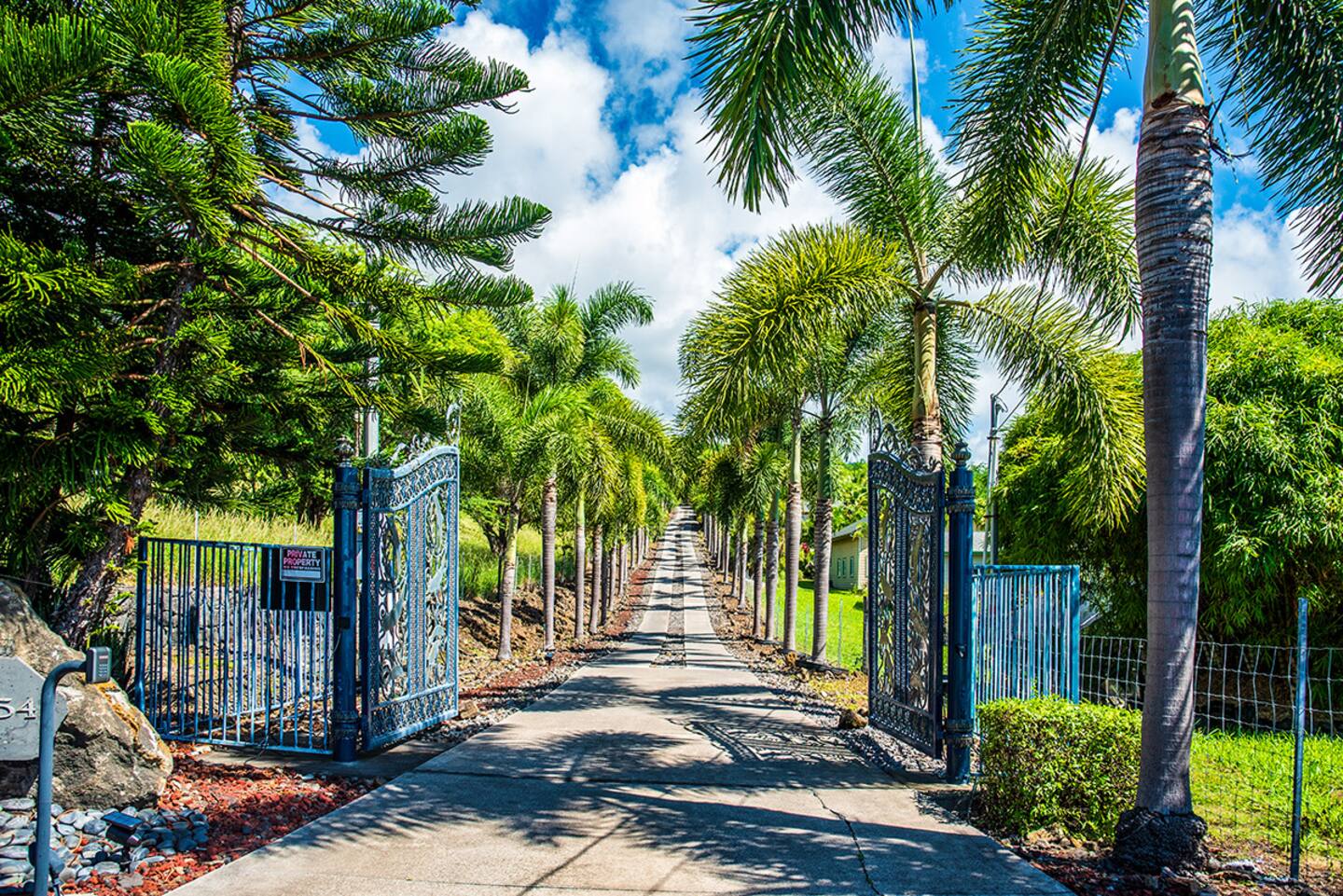 ENTRADA 1
